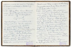 Albert Einstein's Journal