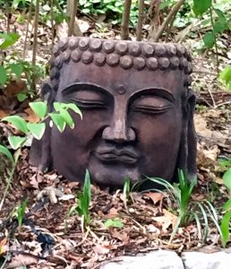 Soon Buddha will be surrounded by plants, but right now you can see him really well