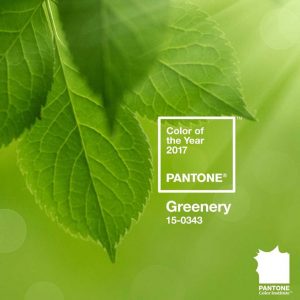 pantone-color-of-the-year-2017-greenery-1